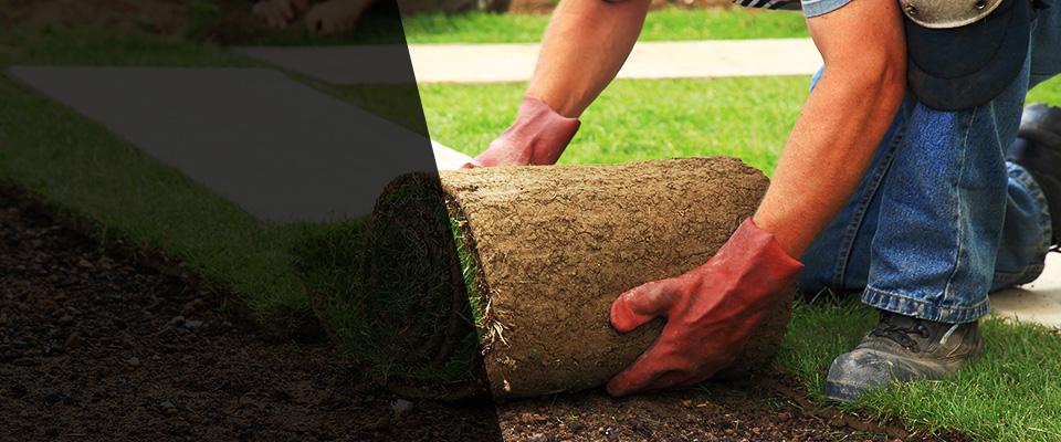 Laurel Landscapers